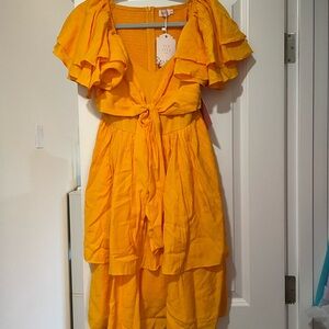 NWT Ivy City Co Sonny Dress Small